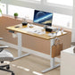 Electric Height Adjustable Standing Desk