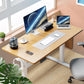 Electric Height Adjustable Standing Desk